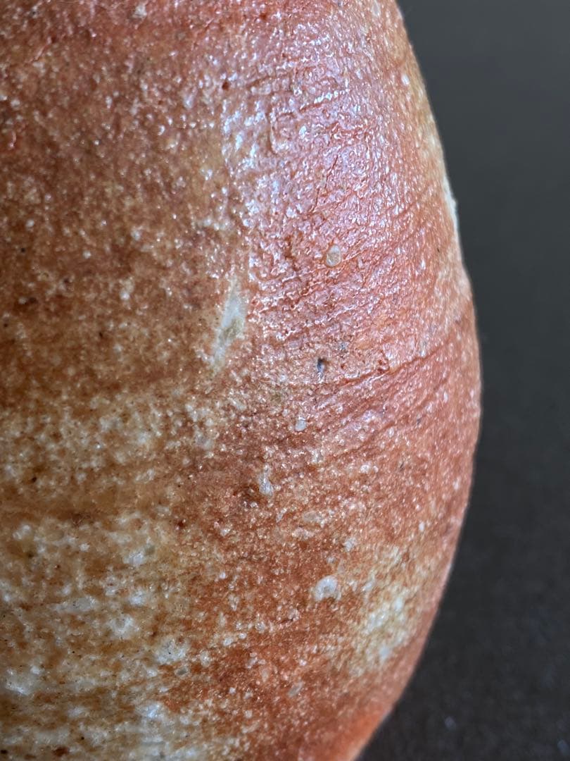 信楽焼 Shigaraki 徳利 Tokkuri 古谷道生 X01