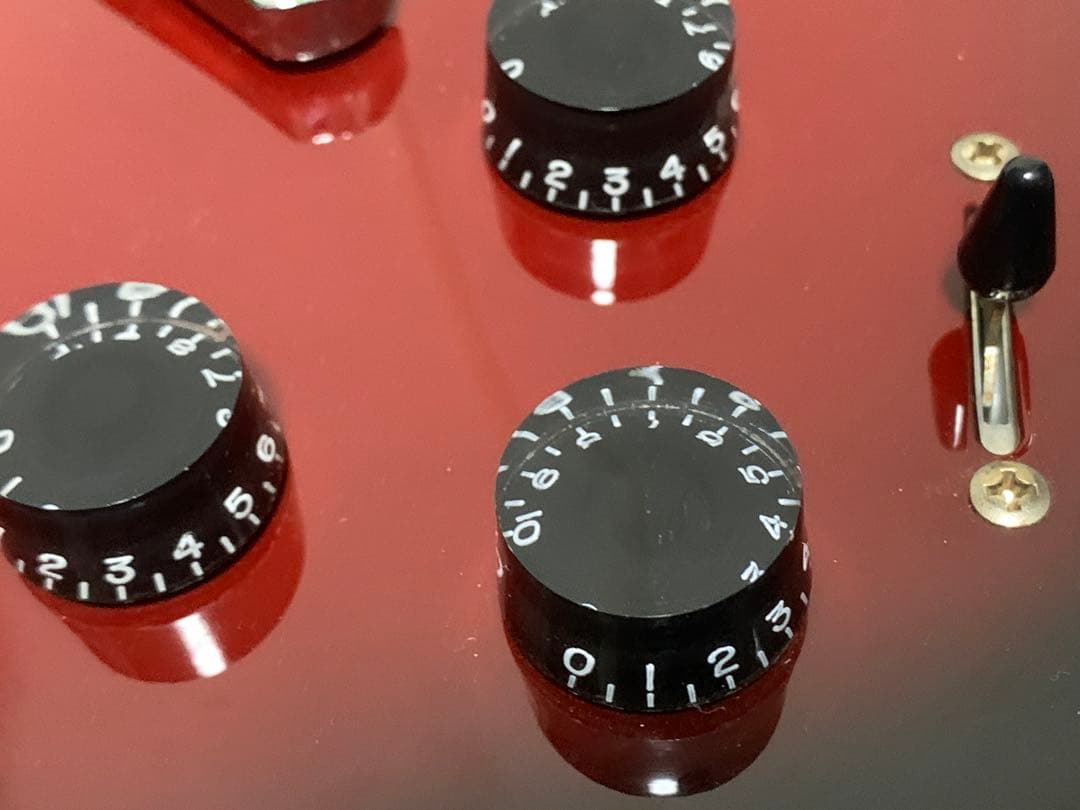 Grass Roots グラスルーツ G-I-48 LP INORAN #2