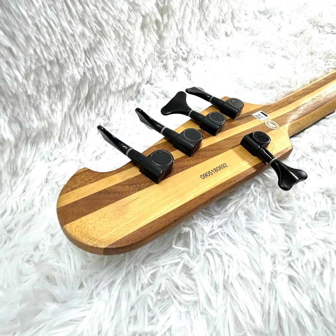 【激レア】Epiphone Thunder Bird Pro 5弦 アクティブ