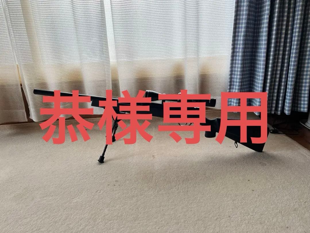 SIIS TSR-ZERO スナイパーライフル　スコープ、バイポット付き