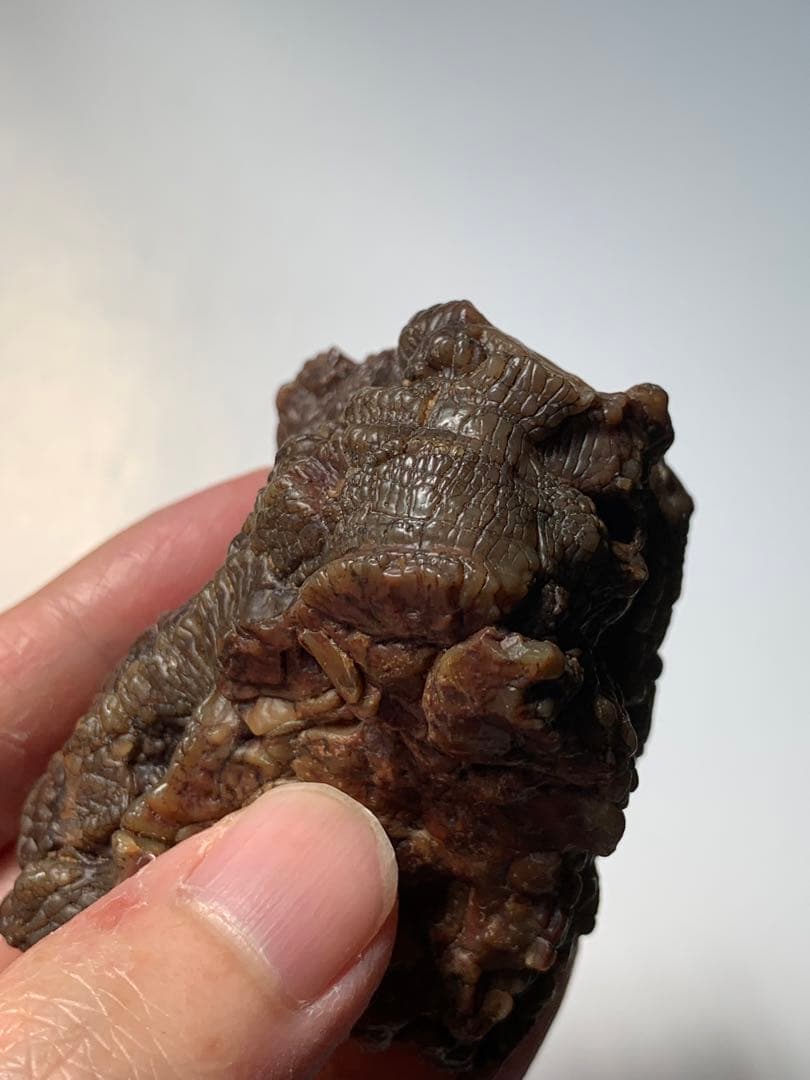 アラシャンゴビアゲート　蒙古瑪瑙　水石　翡翠　オパール　根付　天珠　化石　隕石