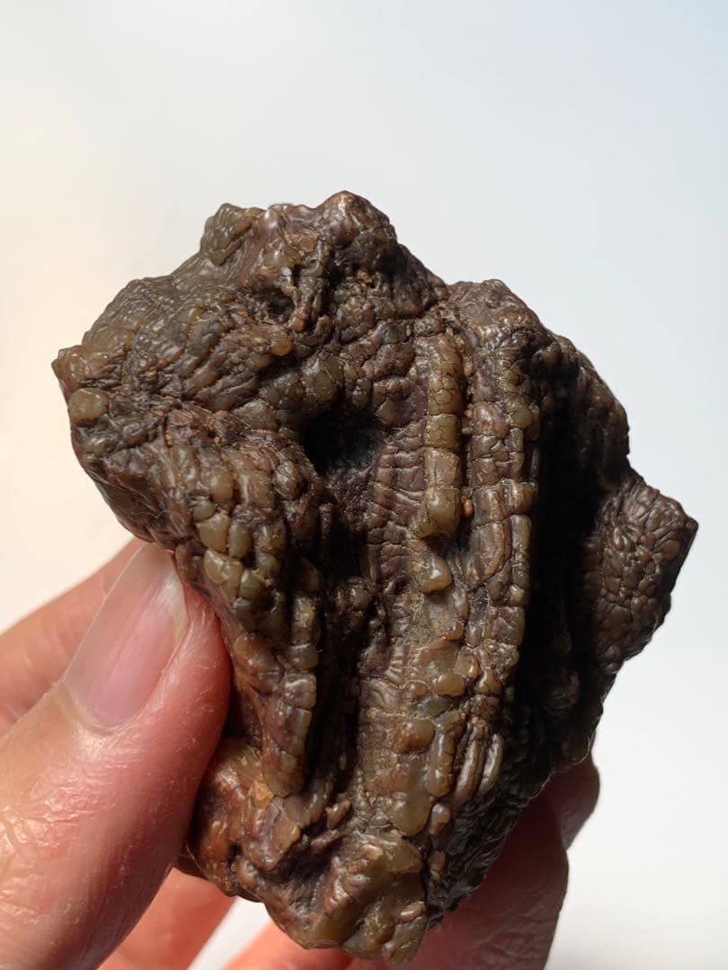 アラシャンゴビアゲート　蒙古瑪瑙　水石　翡翠　オパール　根付　天珠　化石　隕石