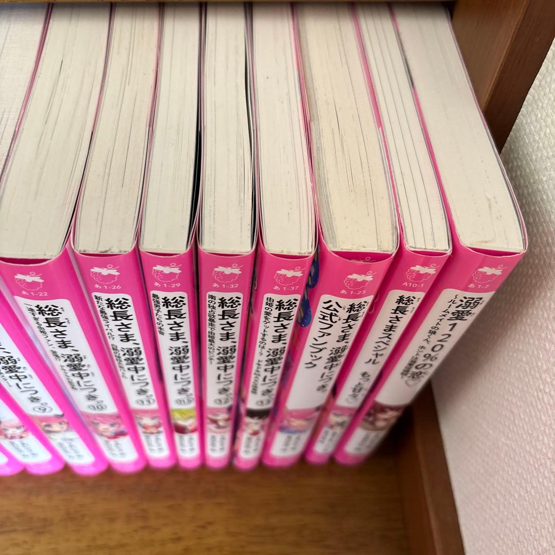 総長さま、溺愛中につき。　17冊セット