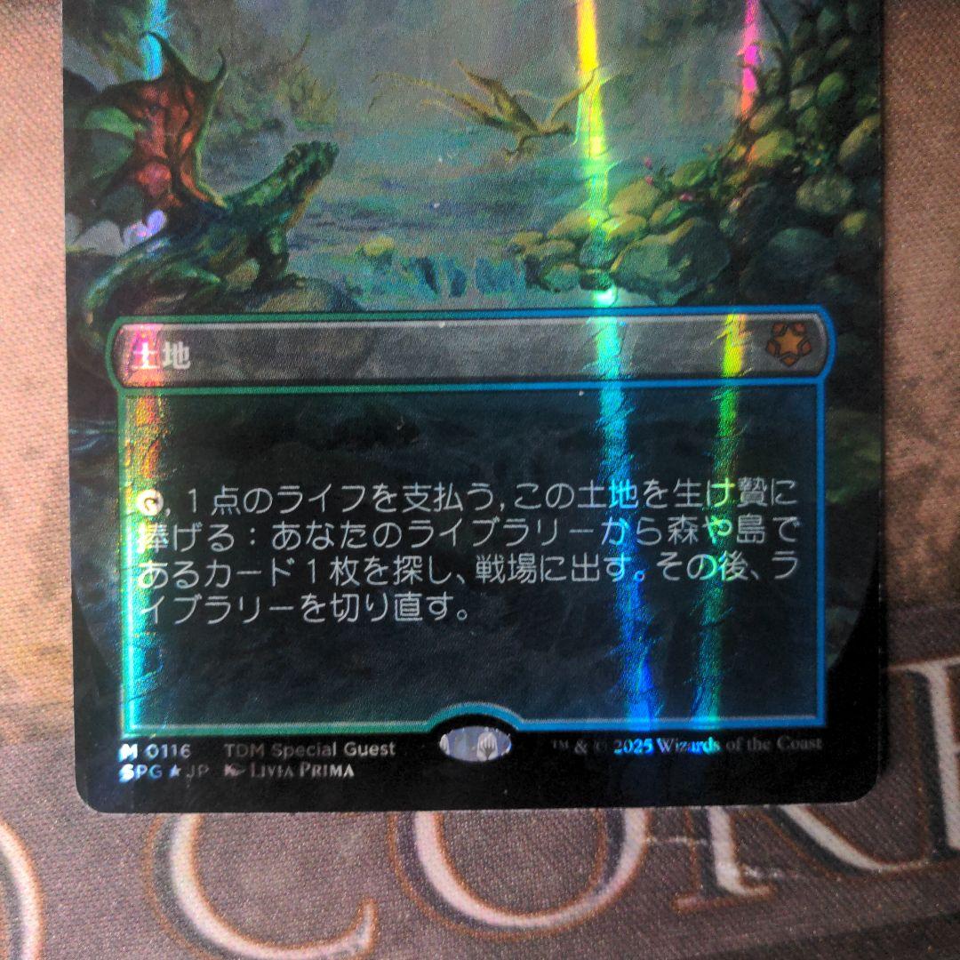 MTG　霧深い雨林/Misty Rainforest　ドラゴンスケイルFoil