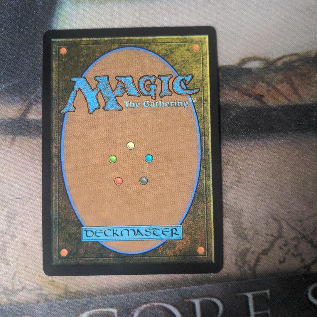 MTG　霧深い雨林/Misty Rainforest　ドラゴンスケイルFoil