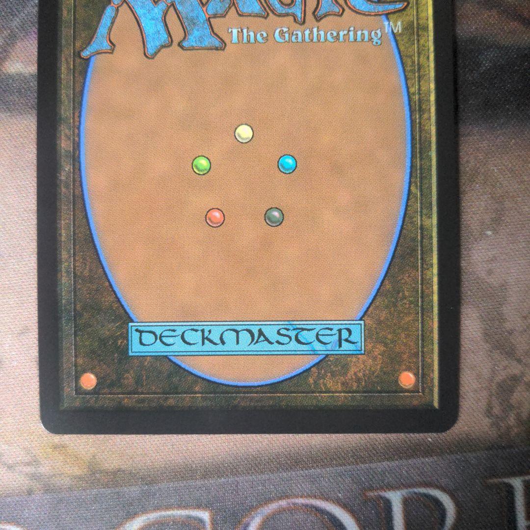 MTG　霧深い雨林/Misty Rainforest　ドラゴンスケイルFoil