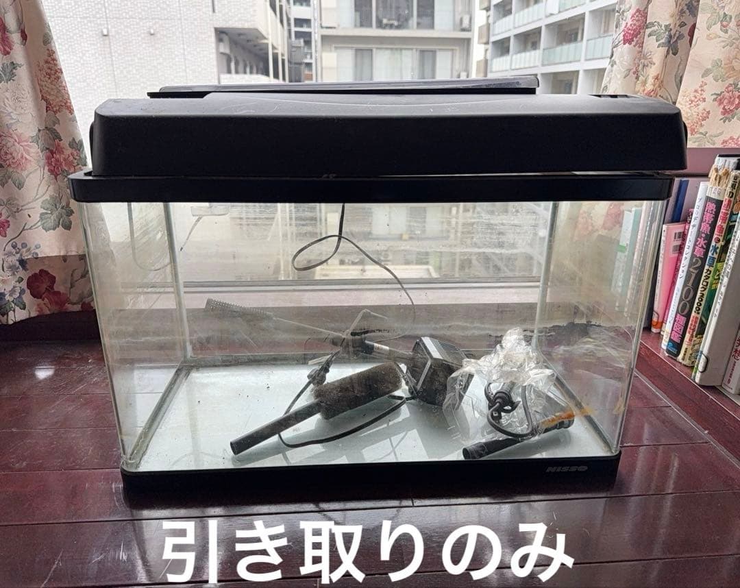 NISSO60サイズ淡水魚飼育セット前面カブガラス日本製