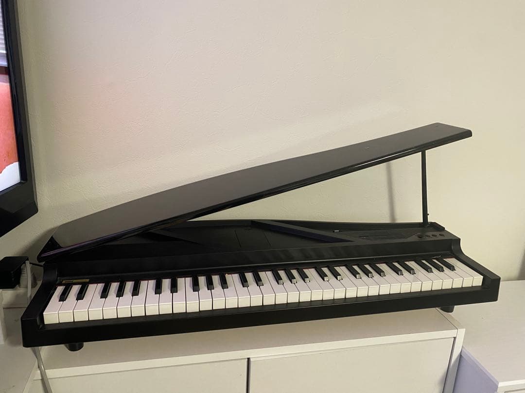 KORG MICROPIANO マイクロピアノ 鍵盤61鍵 61曲デモソング