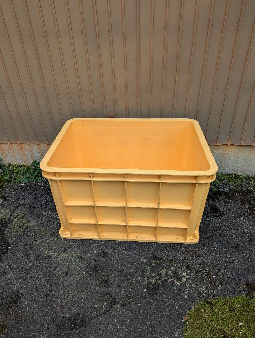 ミツル大型水槽