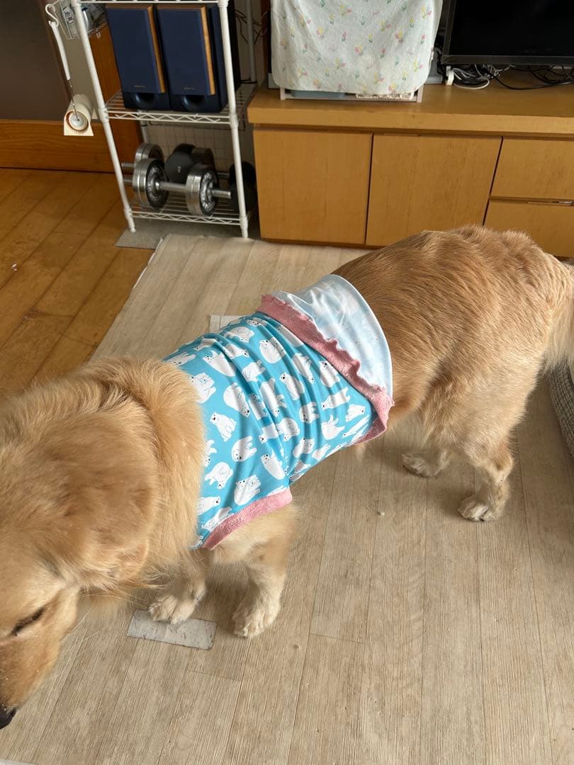 確認用　購入不可