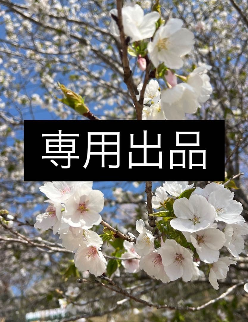 スズメさん専用出品