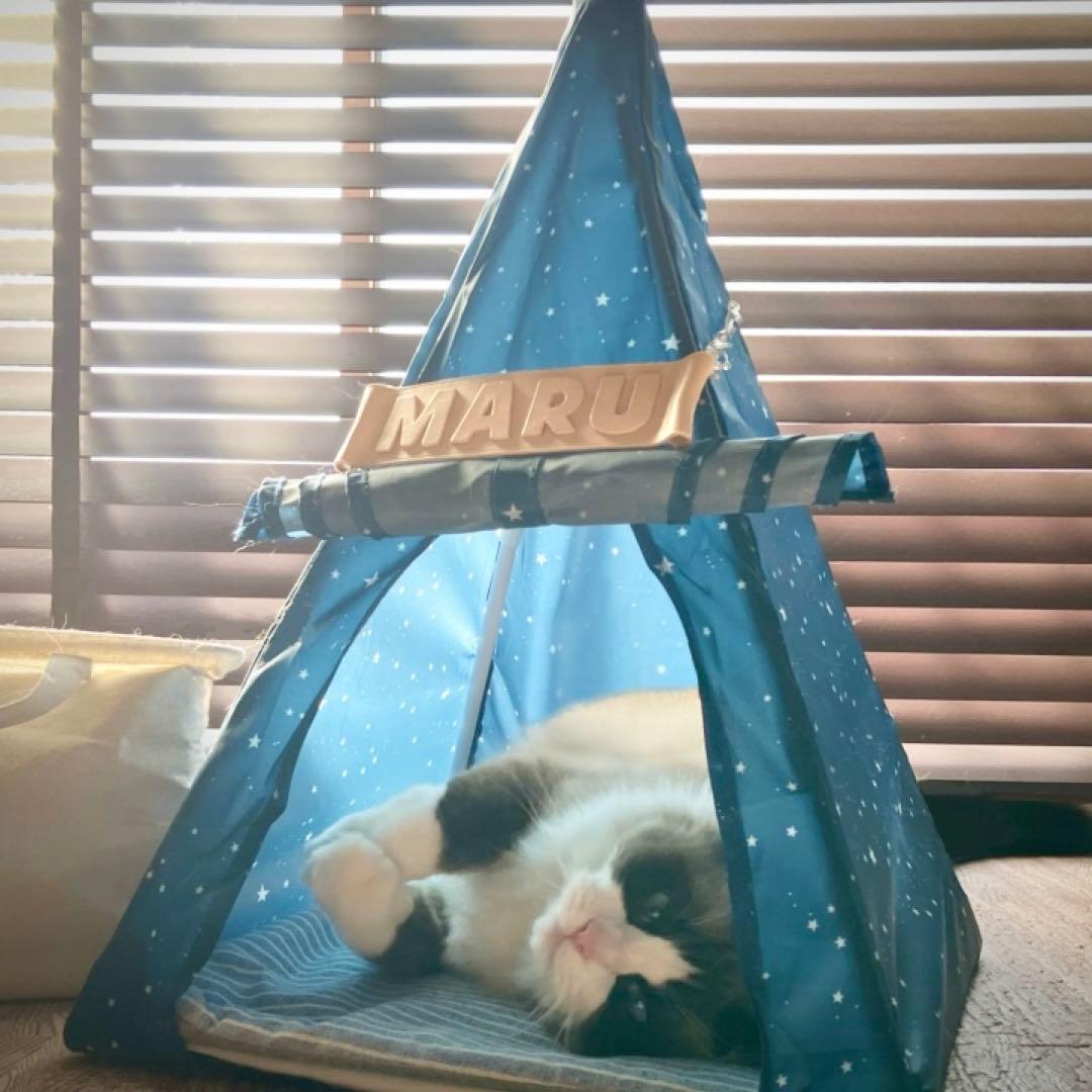 牛本革レザー【大きいネームプレート】オーダー受付ページ♡ネームタグ♡ペット鳥犬猫