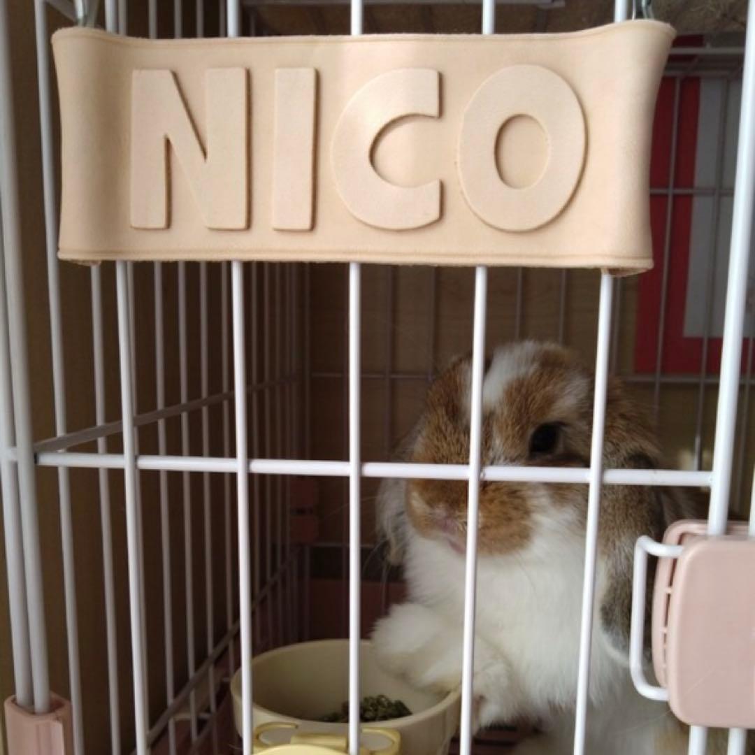 牛本革レザー【大きいネームプレート】オーダー受付ページ♡ネームタグ♡ペット鳥犬猫