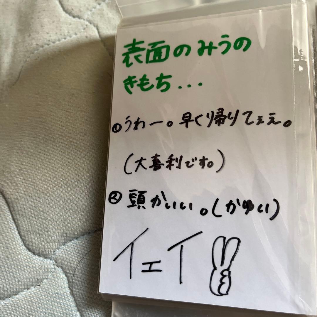 いぎなり東北産生写真ジャージ【引退】