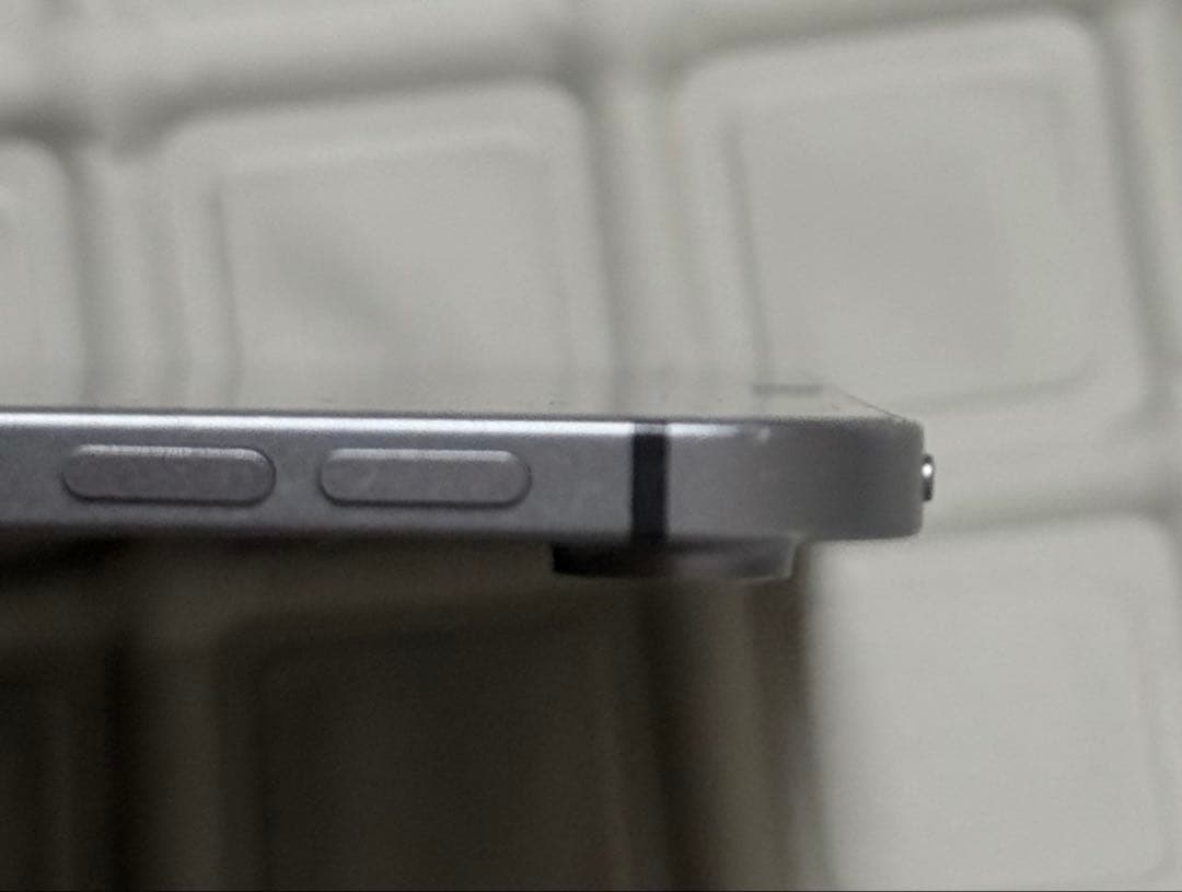 第3世代 iPad Pro 12.9 Wi-Fi+Cellular 1TB