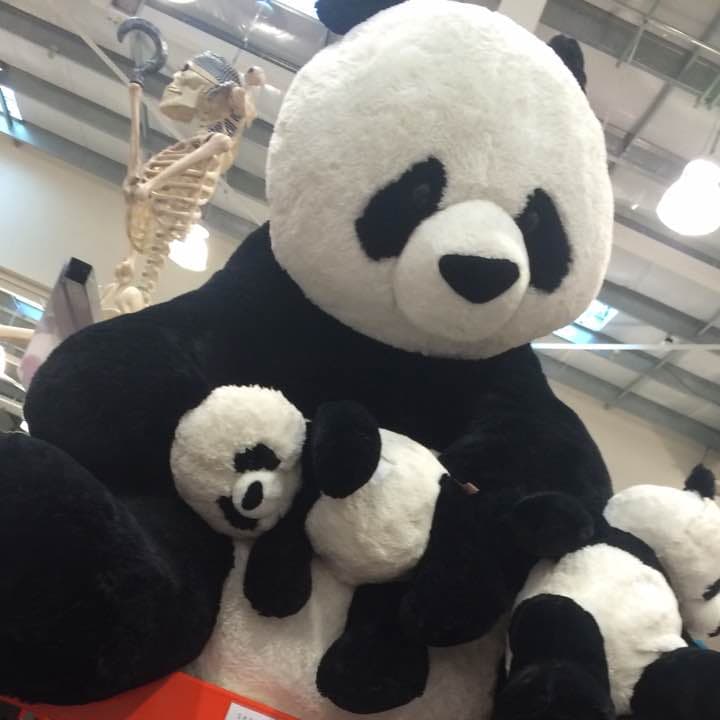 コストコ パンダ ぬいぐるみ
