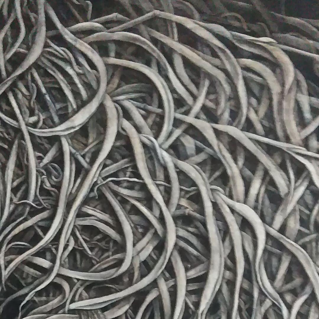 日本画　夕日に燃えるすすき