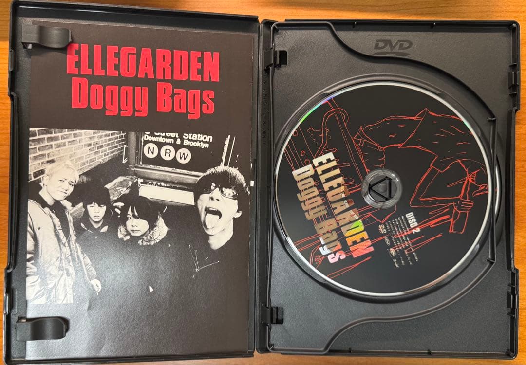 ELLEGARDEN LIVE DVD 6巻セット
