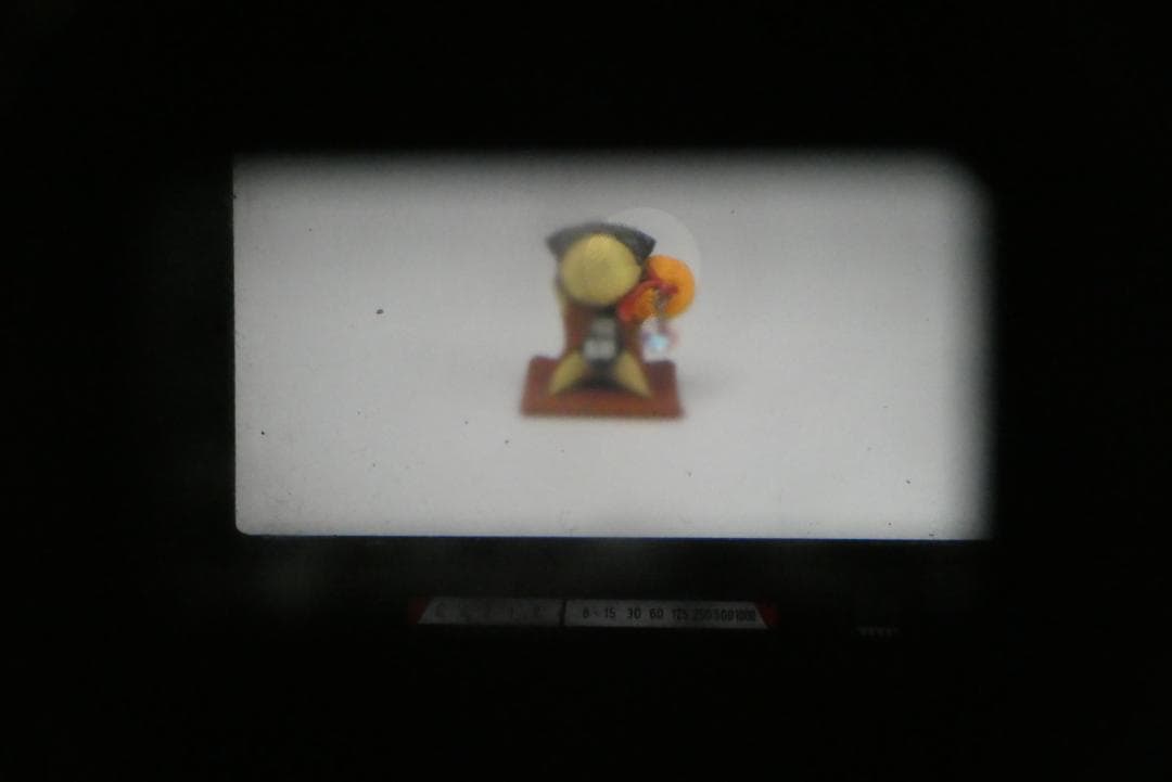 Canon New F-1 AEファインダー 35mmフィルム 一眼レフカメラ