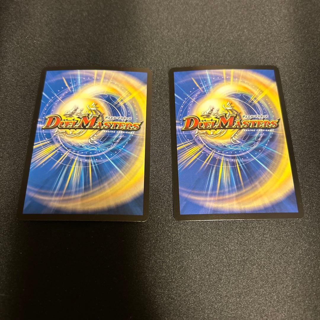 パーフェクトペテンシー 2枚