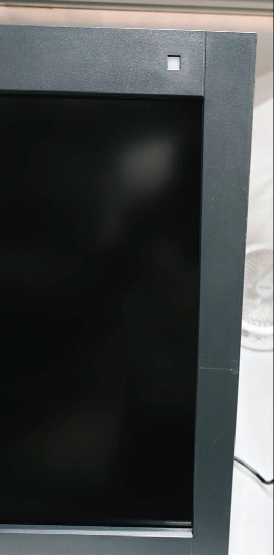 EIZO RadiForce RX440 液晶モニタ29.8 使用时间4179H