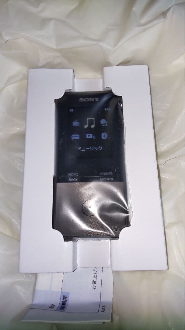 SONY NW-S315 16GB デジタルオーディオプレーヤー