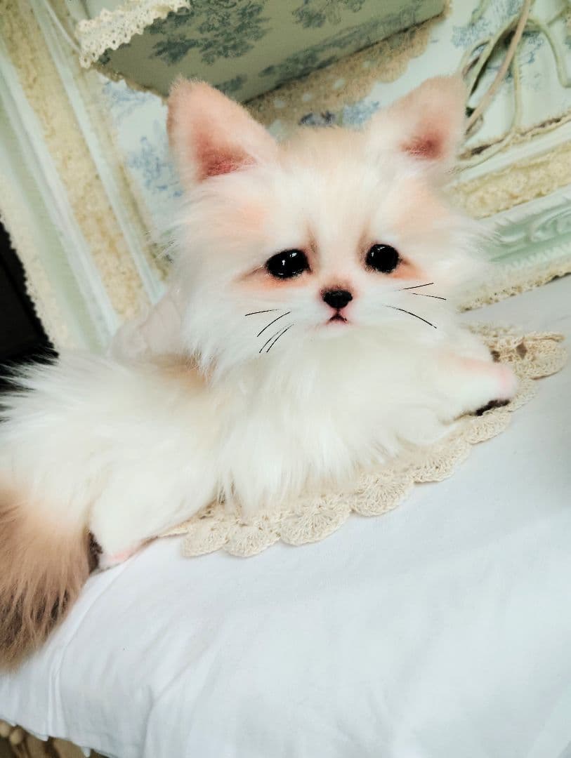 ベビー♡赤ちゃんきつね♡飼ってみませんか❤アートドール♡ぬいぐるみ♡