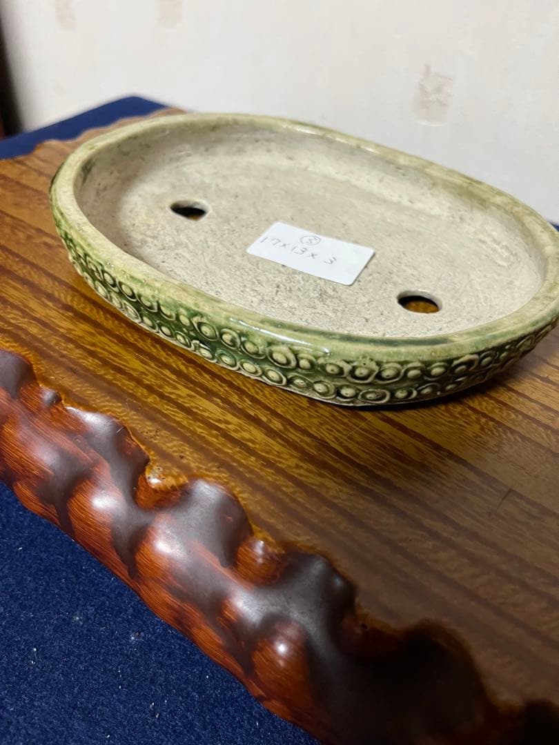 349 盆栽　盆栽鉢　植木鉢　和鉢　忠寛