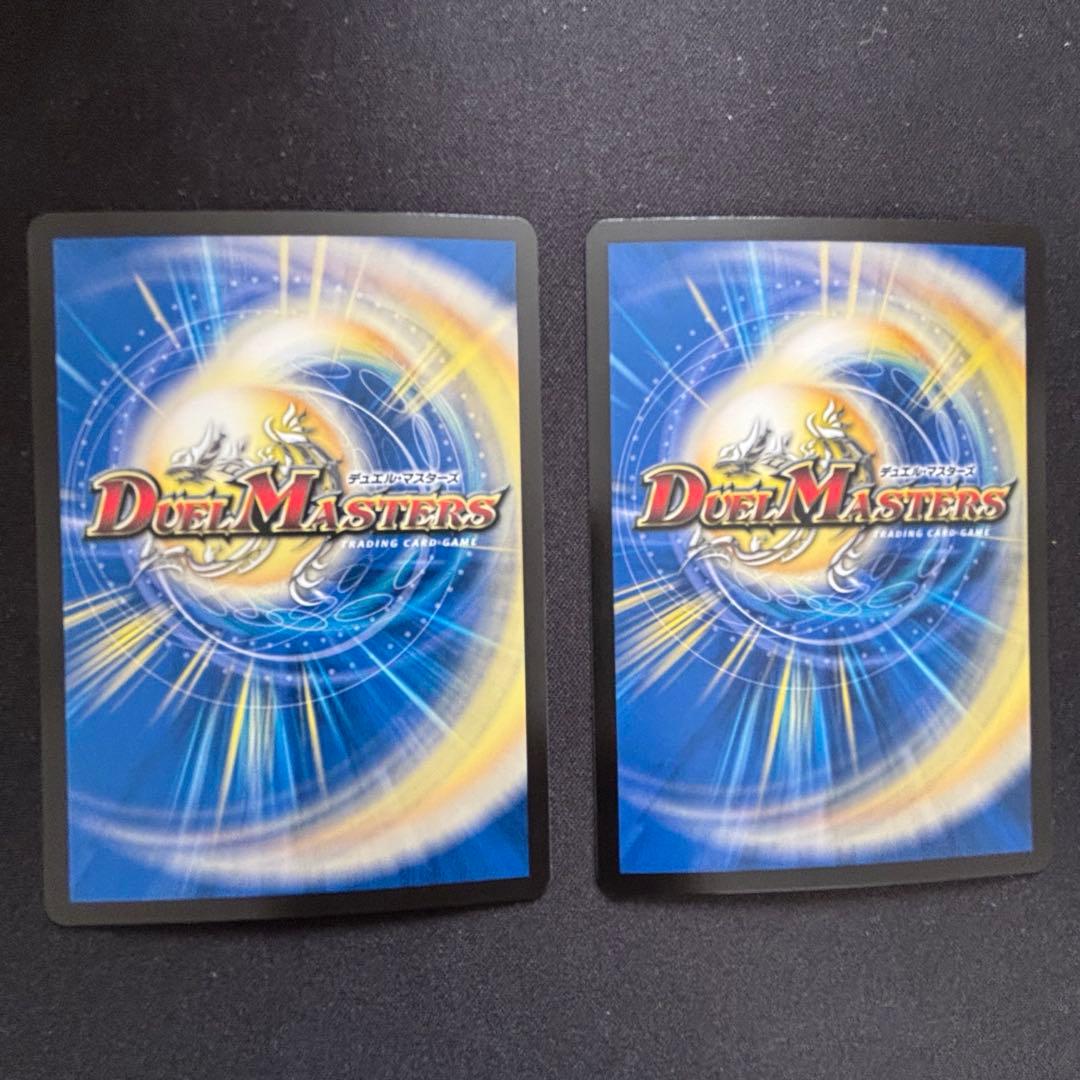 パーフェクトペテンシー　2枚　追跡可能