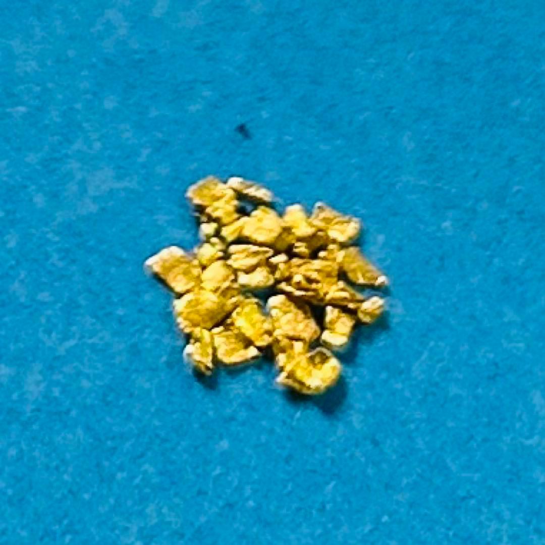 砂金　甲斐黄金村　24金　30粒