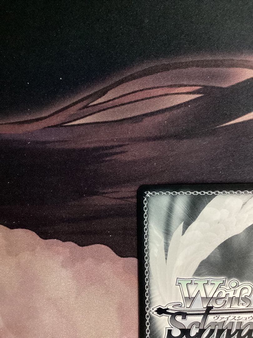 WS 戦いの外の日々 エルザ SSP