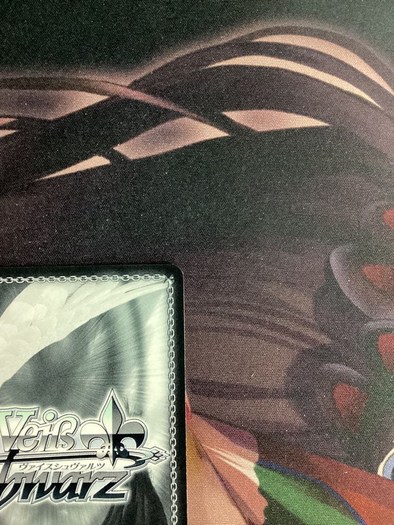 WS 戦いの外の日々 エルザ SSP