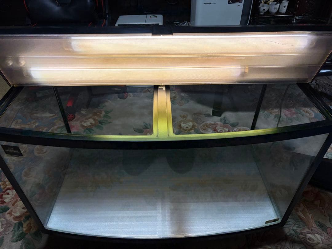 大きな水槽 蛍光灯照明付き