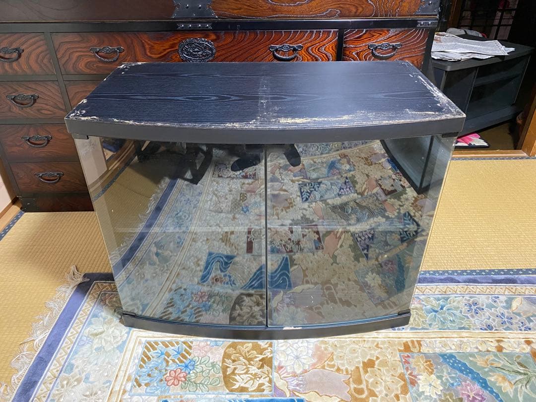 大きな水槽 蛍光灯照明付き