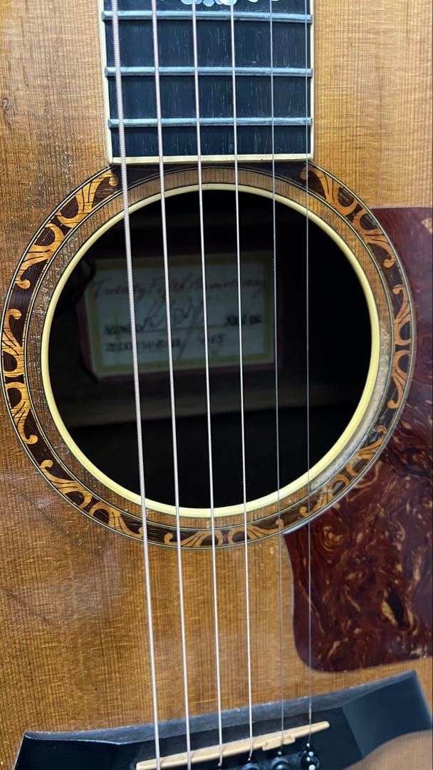 Taylor XXV-PR プレミアム25周年記念 エレアコ 世界限定500本