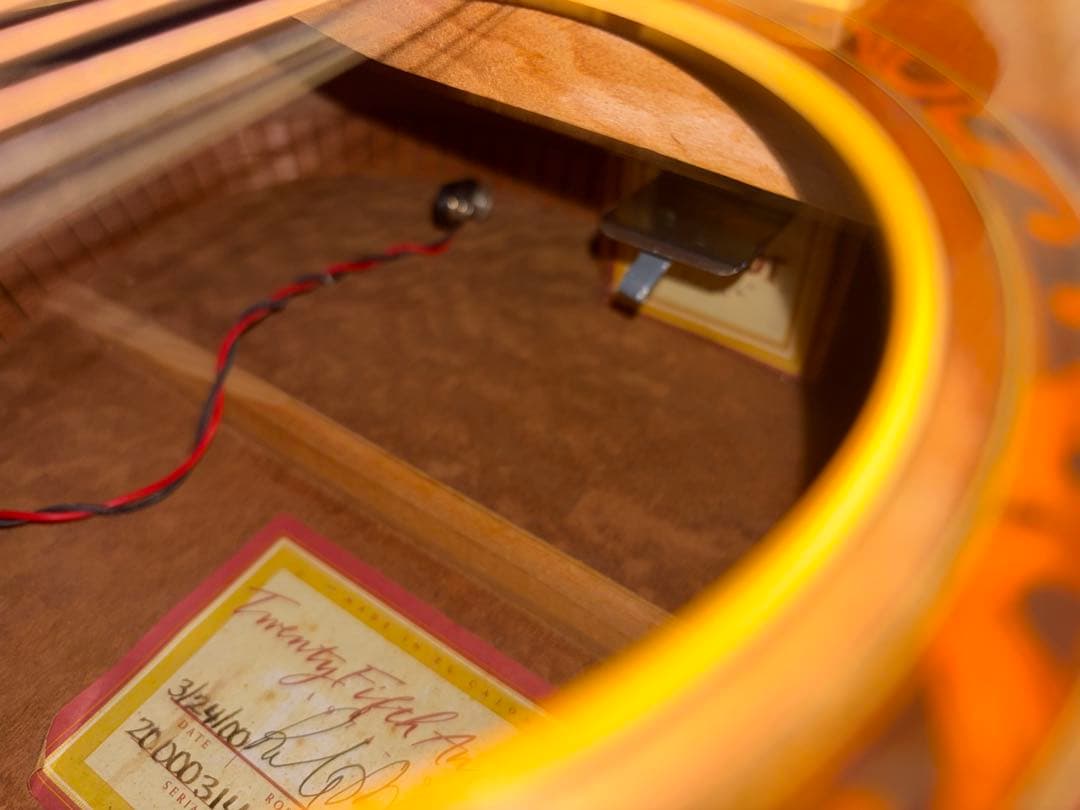 Taylor XXV-PR プレミアム25周年記念 エレアコ 世界限定500本