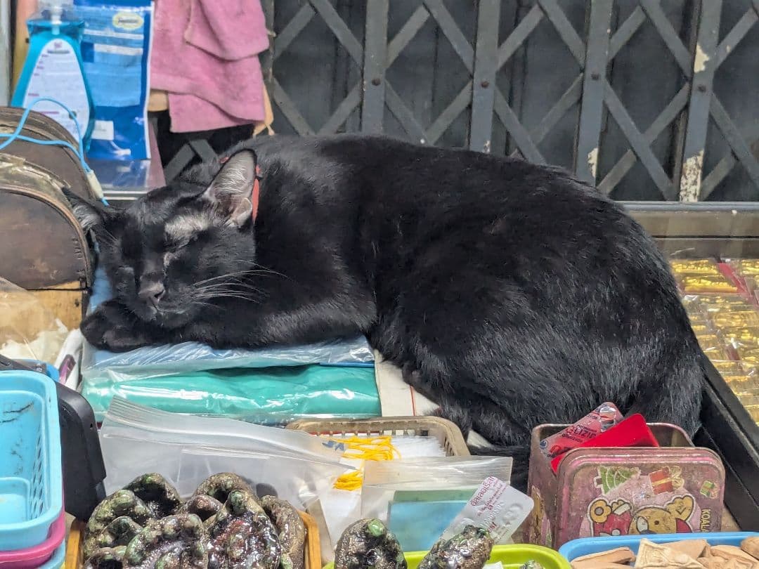 【藝術品】タイのお守りプラクルアン！九尾の狐！恋愛＆金運＆仕事運がアップ！！