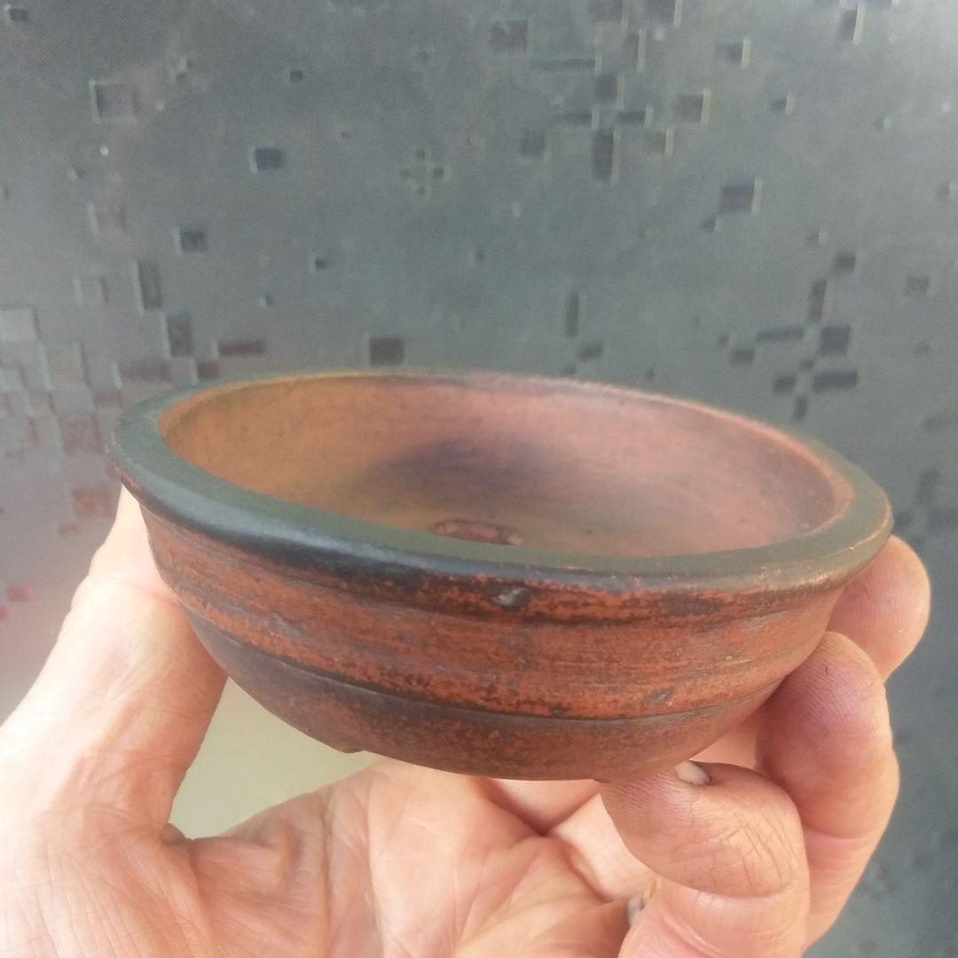 中国鉢、中渡、ミニ鉢、盆栽鉢、盆栽小鉢、植木鉢、山野草鉢、鉢、盆栽