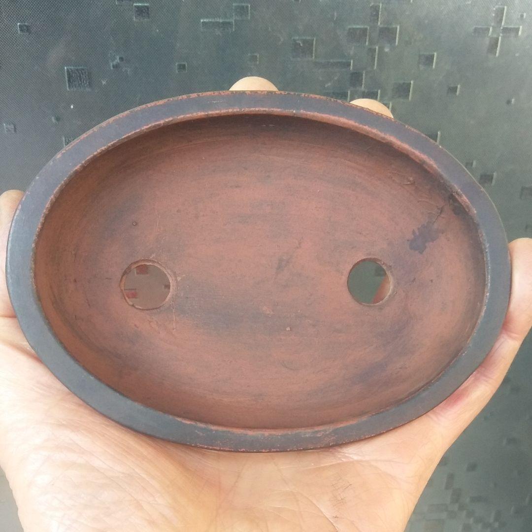 中国鉢、中渡、ミニ鉢、盆栽鉢、盆栽小鉢、植木鉢、山野草鉢、鉢、盆栽