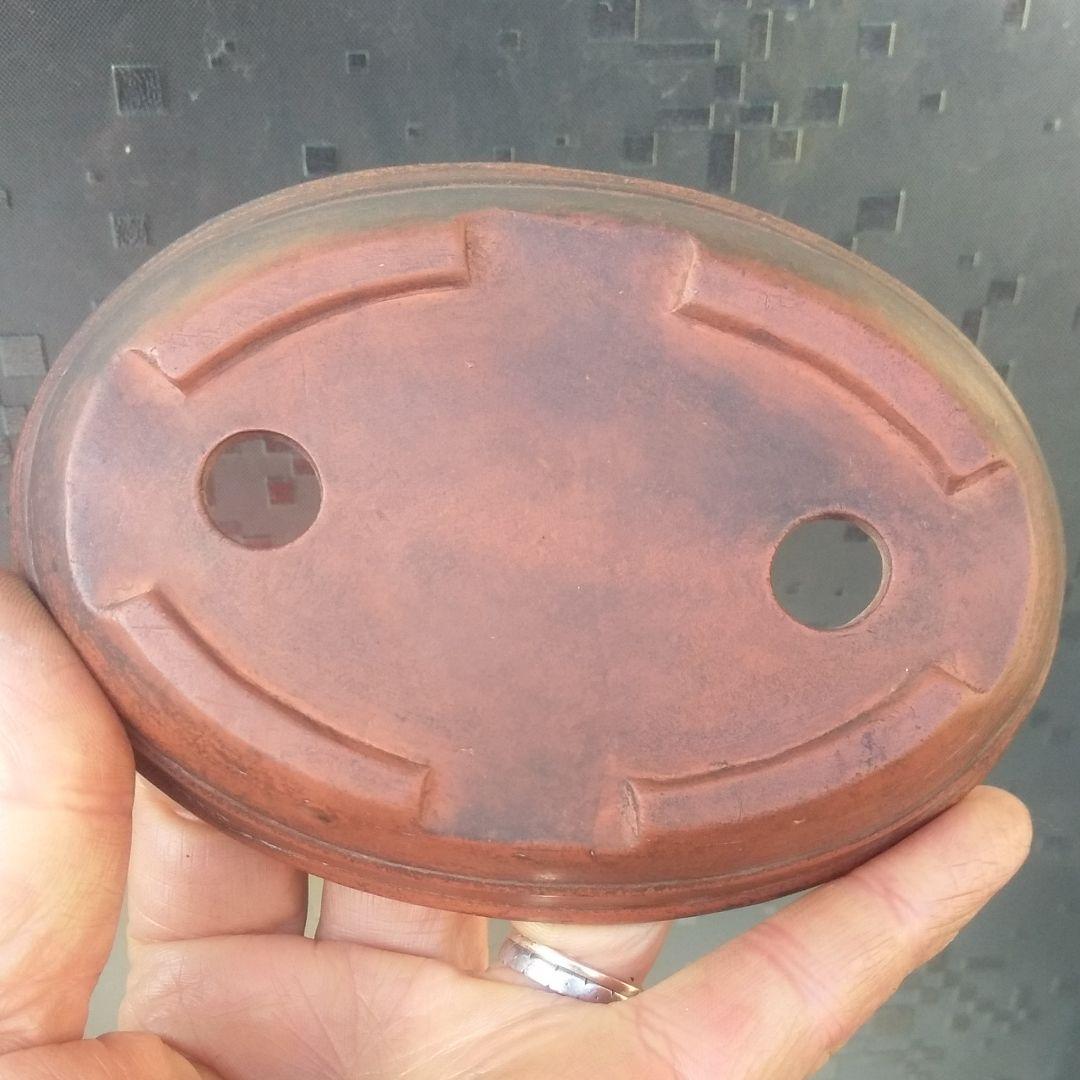 中国鉢、中渡、ミニ鉢、盆栽鉢、盆栽小鉢、植木鉢、山野草鉢、鉢、盆栽