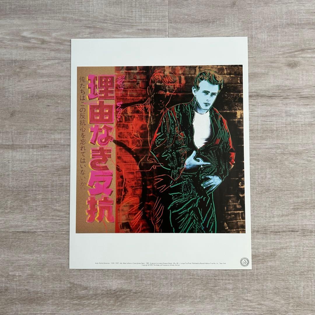 【アンディ・ウォーホル美術財団スタンプつき】『理由なき反抗』 シルクスクリーン