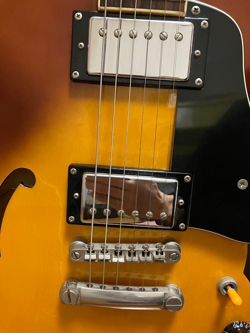 ぱぐじゅ様用Epiphone es-335