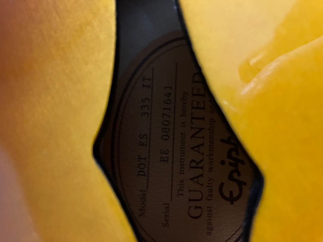 ぱぐじゅ様用Epiphone es-335