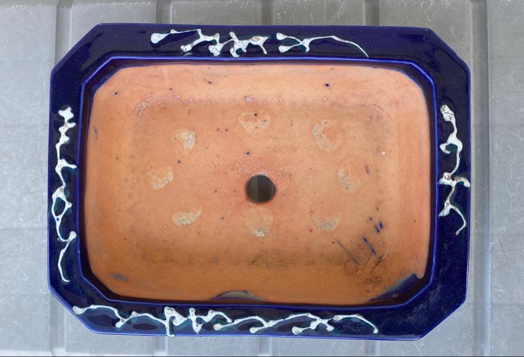 希少 瀬戸焼 瑠璃釉 骨董 盆栽鉢 盆栽 植木鉢