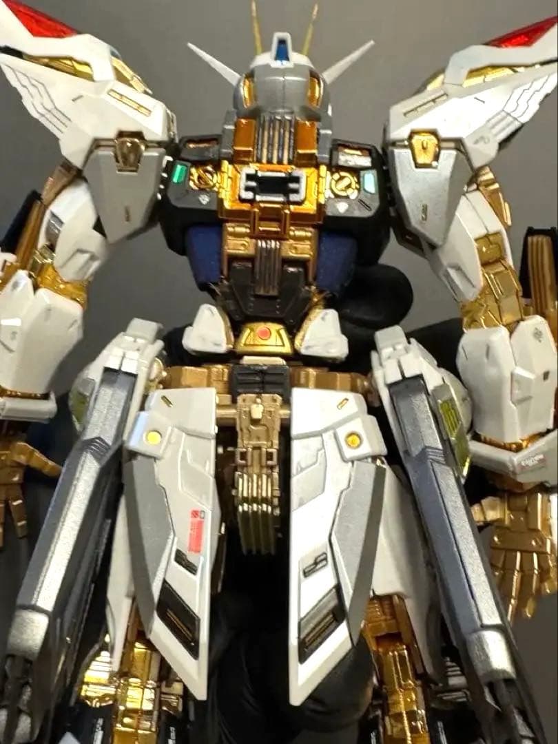 中華製 1/100 MGEXストライクフリーダムモデル 全塗装完成品