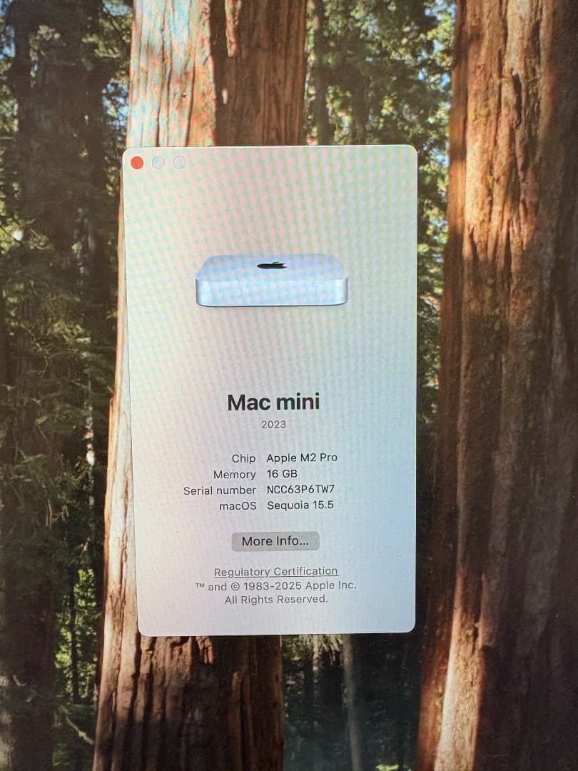 Macデスクトップ Mac mini M2pro 16GB 512GB SSD