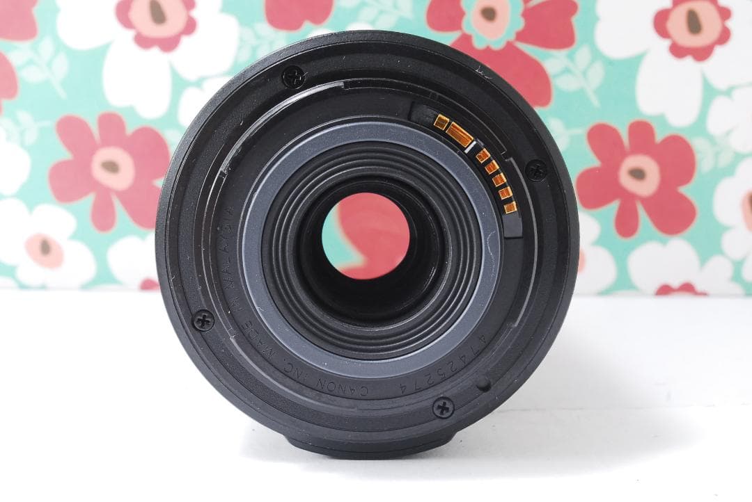 ❤Canon EF-S 55-250mm F4-5.6 IS❤手振れ補正❤望遠❤