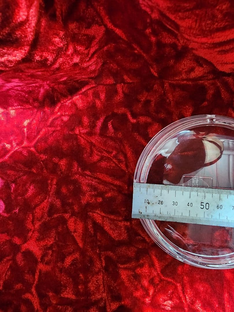 シビエ　レンズ　シャリー　ダックス