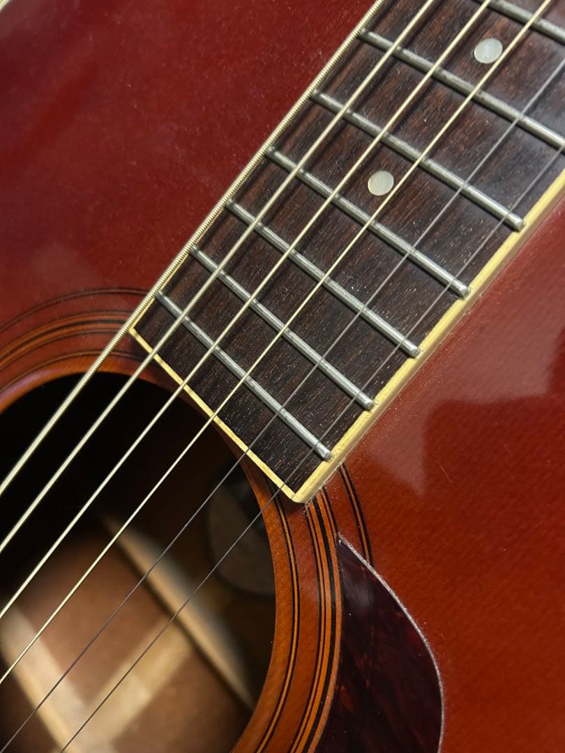 Morris MD-507 アコースティックギター