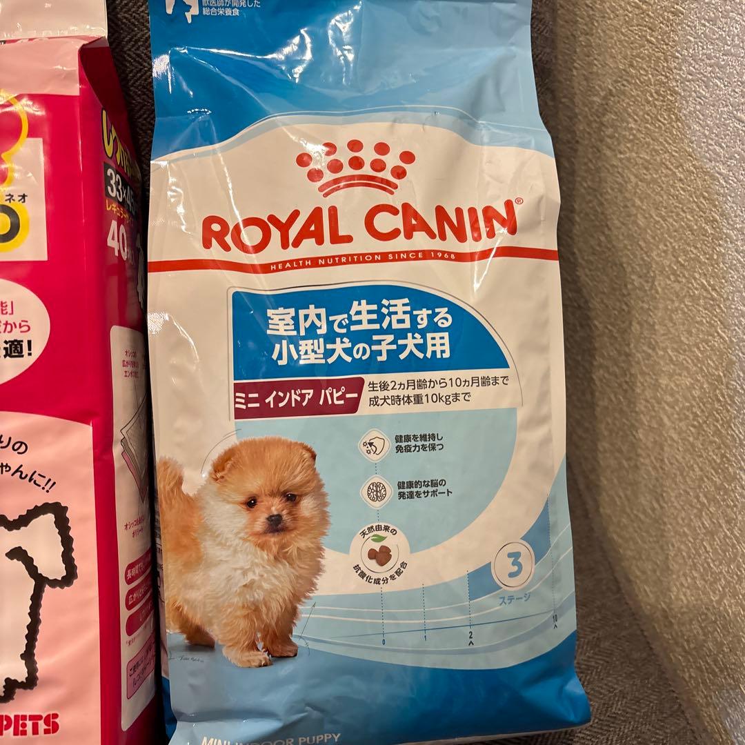 犬用品　まとめ売り